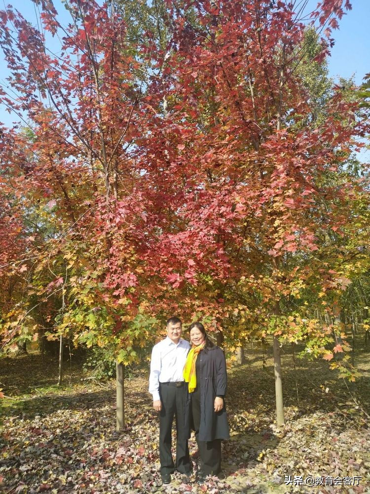 金秋旅游视频模板,国庆郯国古城游玩攻略