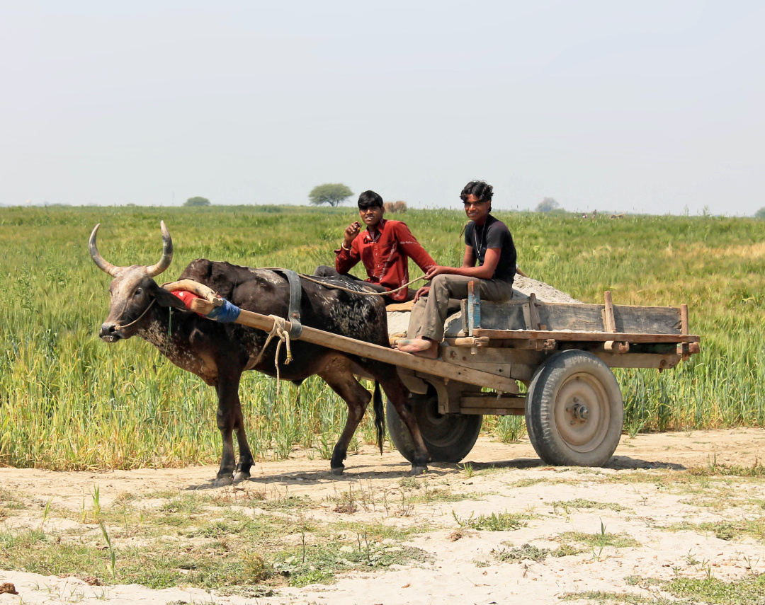印度公路的成就,印度公路那么差劲吗