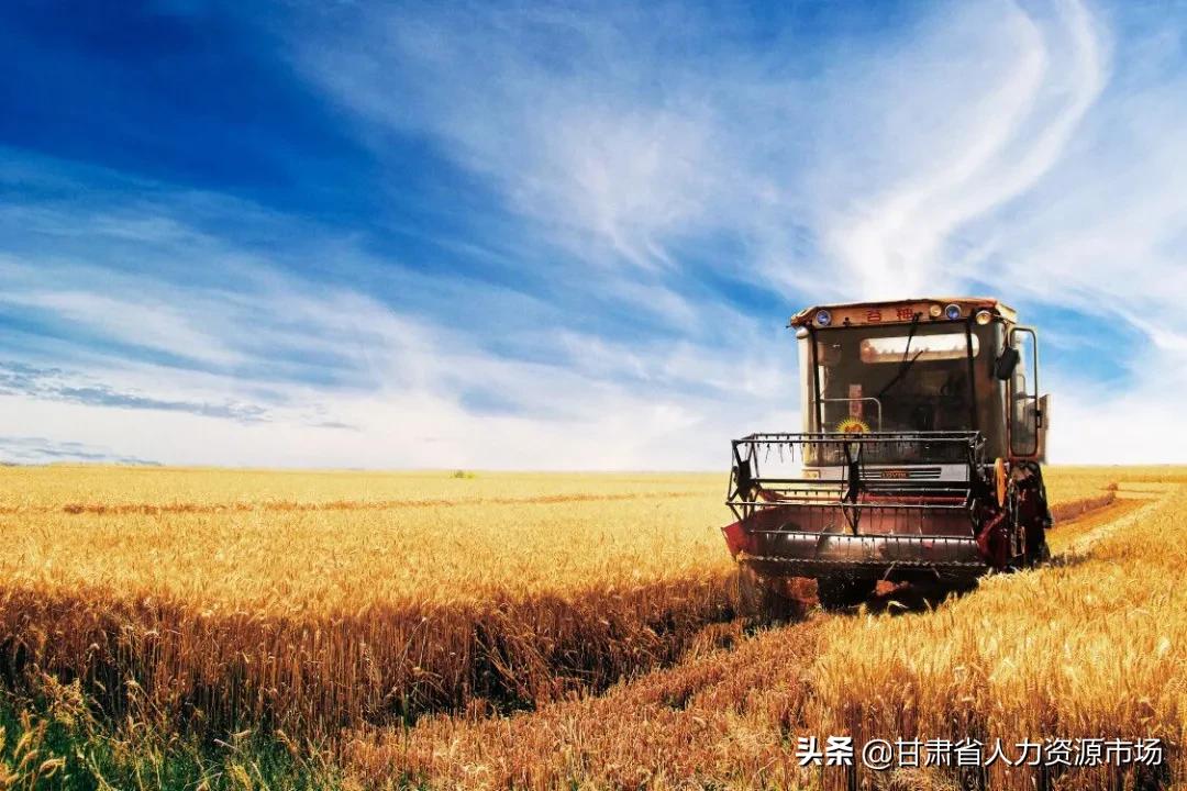 武威大禹节水招聘信息,关于兰州水务集团招聘信息