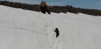 被囚34年取精，被迫亲手杀死爱子，最后只能挣扎着死去……