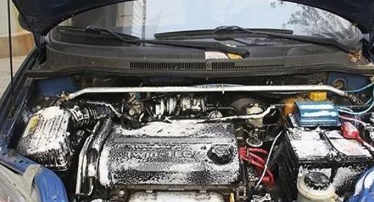 发动机舱有老鼠脚印有什么办法,发动机舱有老鼠怎么办清洗多少钱