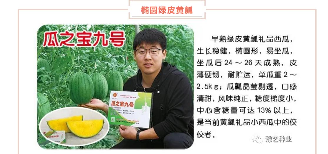 西瓜高产栽培管理技术之二,西瓜高产栽培技术及管理