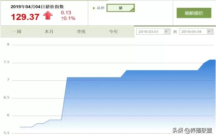 二元猪崽价格,二元小猪30斤价格