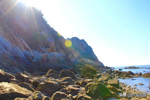 庄河黑岛名人,庄河黑岛沈屯