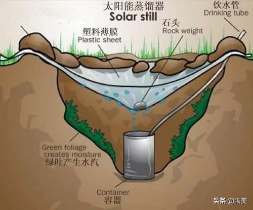 迷失沙漠,迷失在沙漠里怎么办