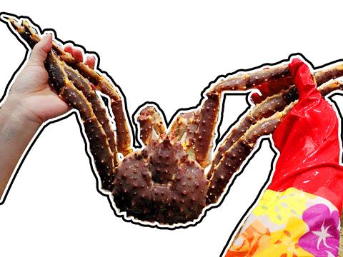 2万左右好物,2万精品好物