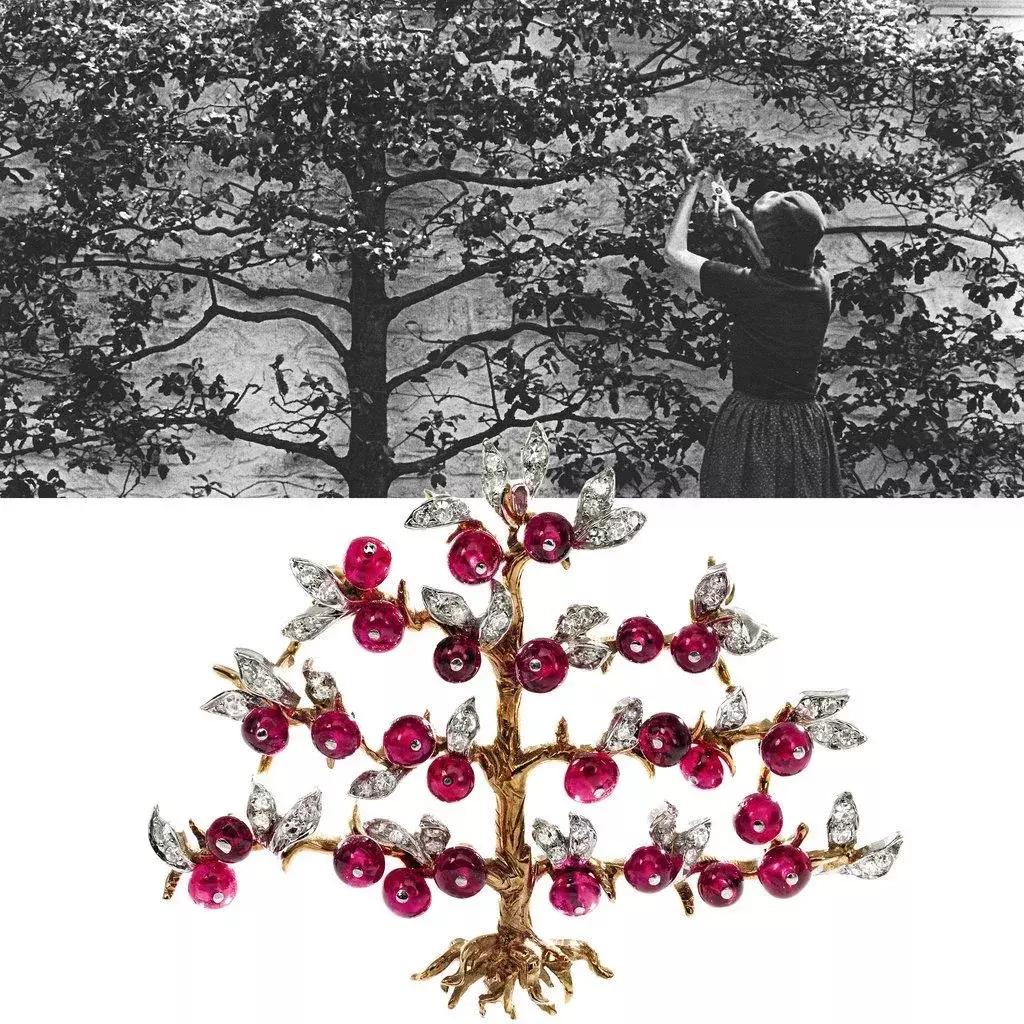 云鬓并不珠翠|BunnyMellon,一个世纪的美国风华