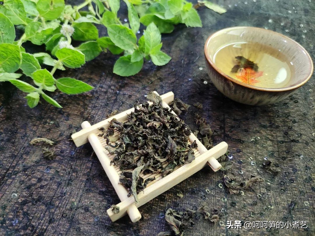 新鲜薄荷怎么弄茶,新鲜的薄荷叶怎么做才好吃