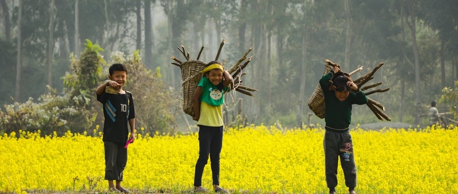 多点发力推动特色农业快速发展,特色农业引领乡村经济快速发展