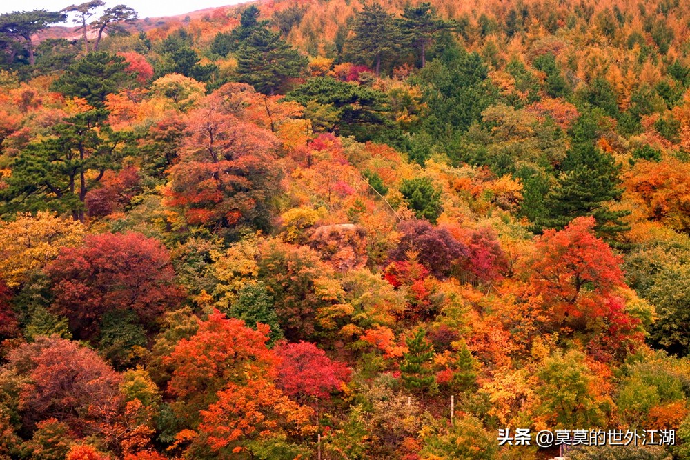 北京门头沟妙峰山景点电话,北京门头沟妙峰山樱桃沟景区