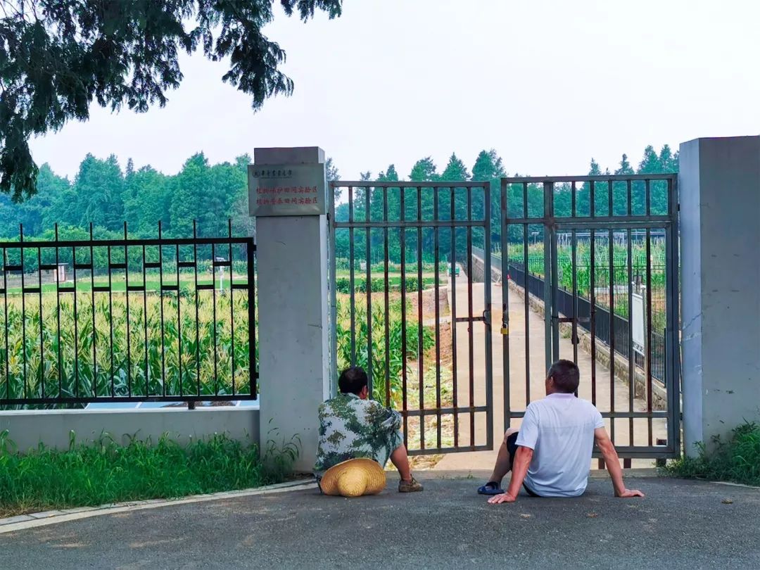 全国第一!华中农业大学真是太太太牛了