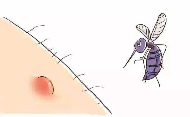 为什么o型血容易吸引蚊子,蚊子喜欢什么血型的人最招蚊子