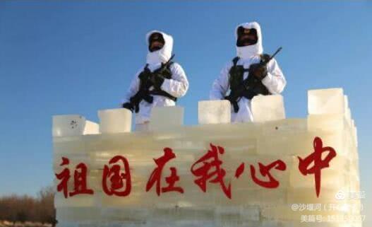 白杨树全文朗读合拍,白杨树文章阅读