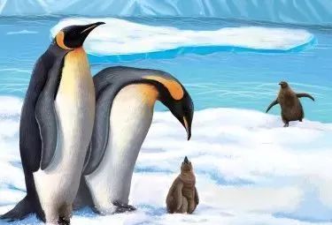 企鹅是不是南极特有动物,企鹅靠什么能在寒冷的南极生活呢