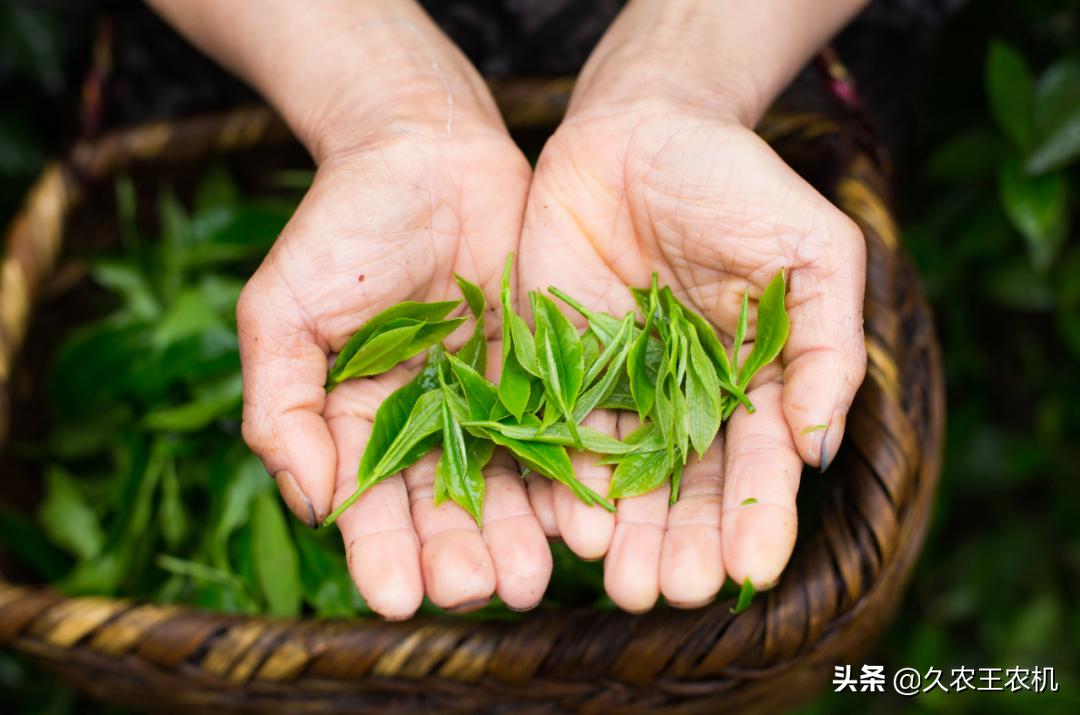 新农人农业机械,新农人农业设备