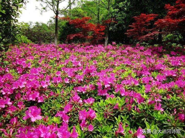 致敬中国英烈诗词,纪念先辈缅怀英烈的诗句