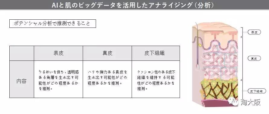 pola全部产品,pola哪个系列最好