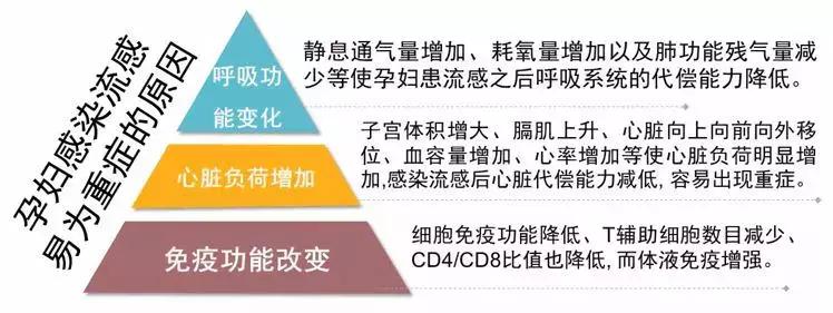 孕妇可以用奥司他韦预防流感吗,奥司他韦是孕妇禁用药吗