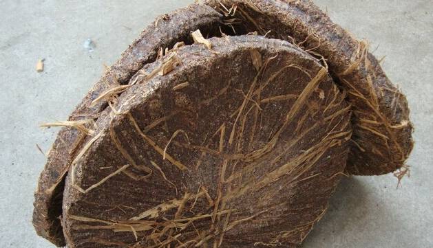 都说茶油好,但茶油的惊人作用,兴宁人知道吗?