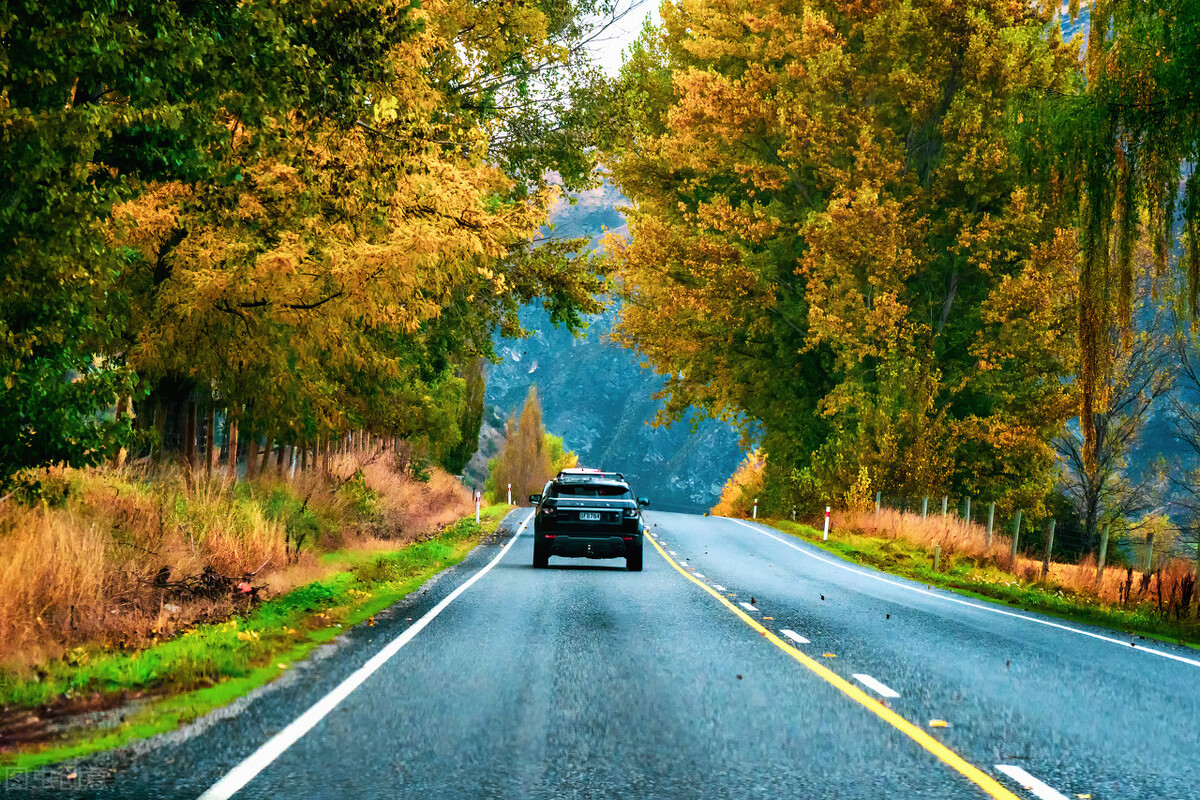 2021年三年级语文第八单元试卷,部编版三年级语文下册第二单元卷