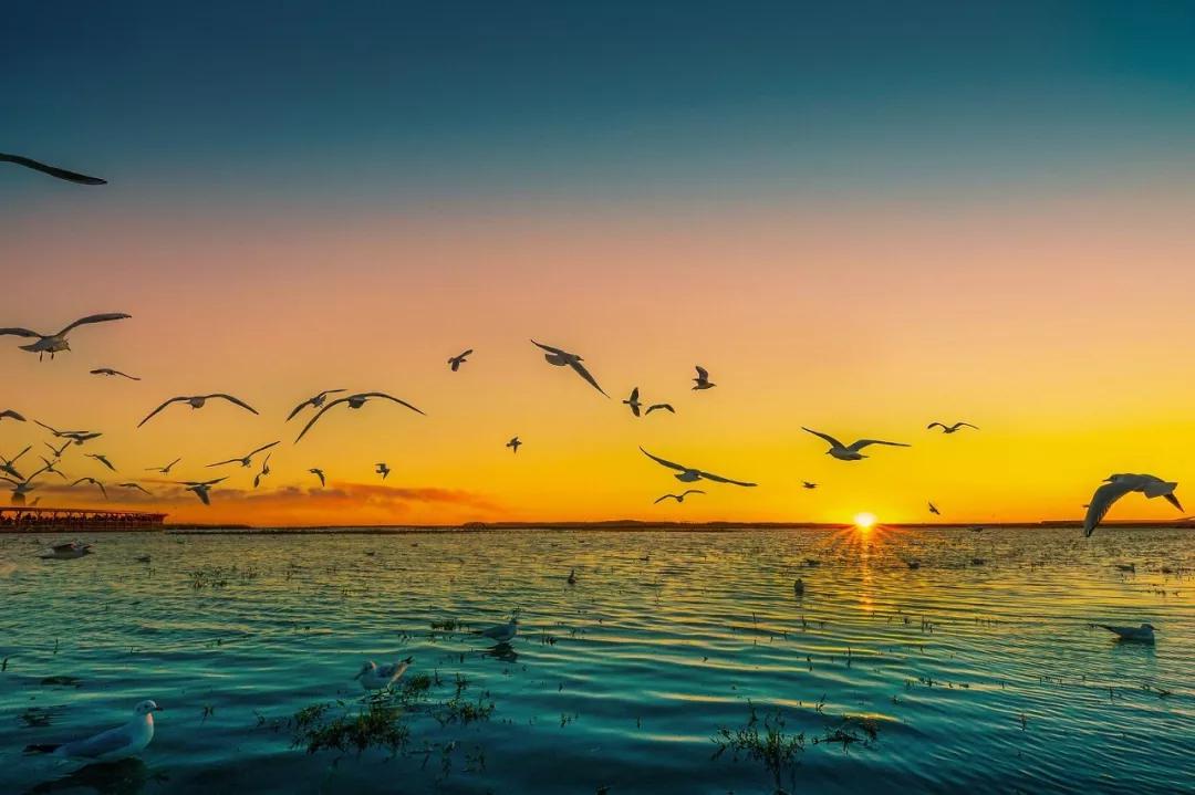 10个适合一个人去的小众旅行地,人少景美的小众旅行地夏季