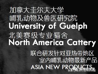 嘉传猫粮是毒猫粮吗,嘉传猫粮买哪一款