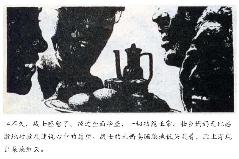 手术刀的故事,手术刀下的故事简介