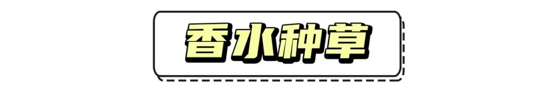 十大女生公认最好闻的男士淡香水,香水什么味道好闻男生