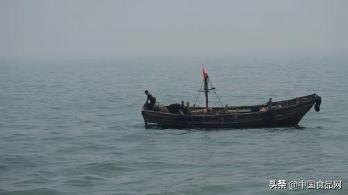 到日照吃海鲜到哪个小渔村最便宜,日照旅游吃海鲜