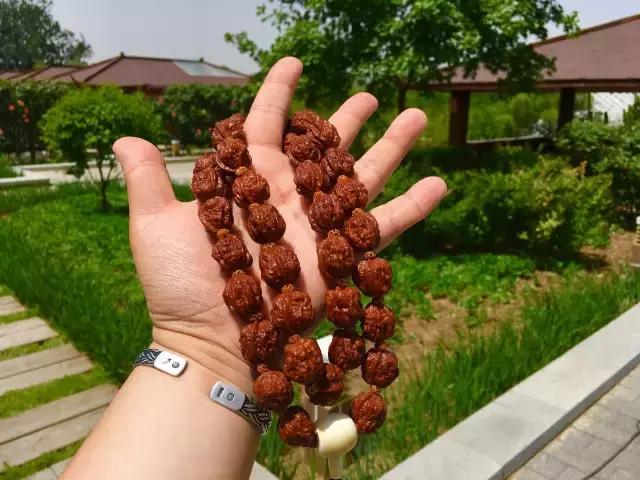 山核桃串打结教程,山核桃串多少颗最好