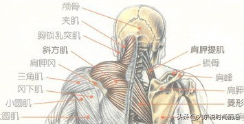 减脂午餐一周安排表,减脂健身计划一周表图