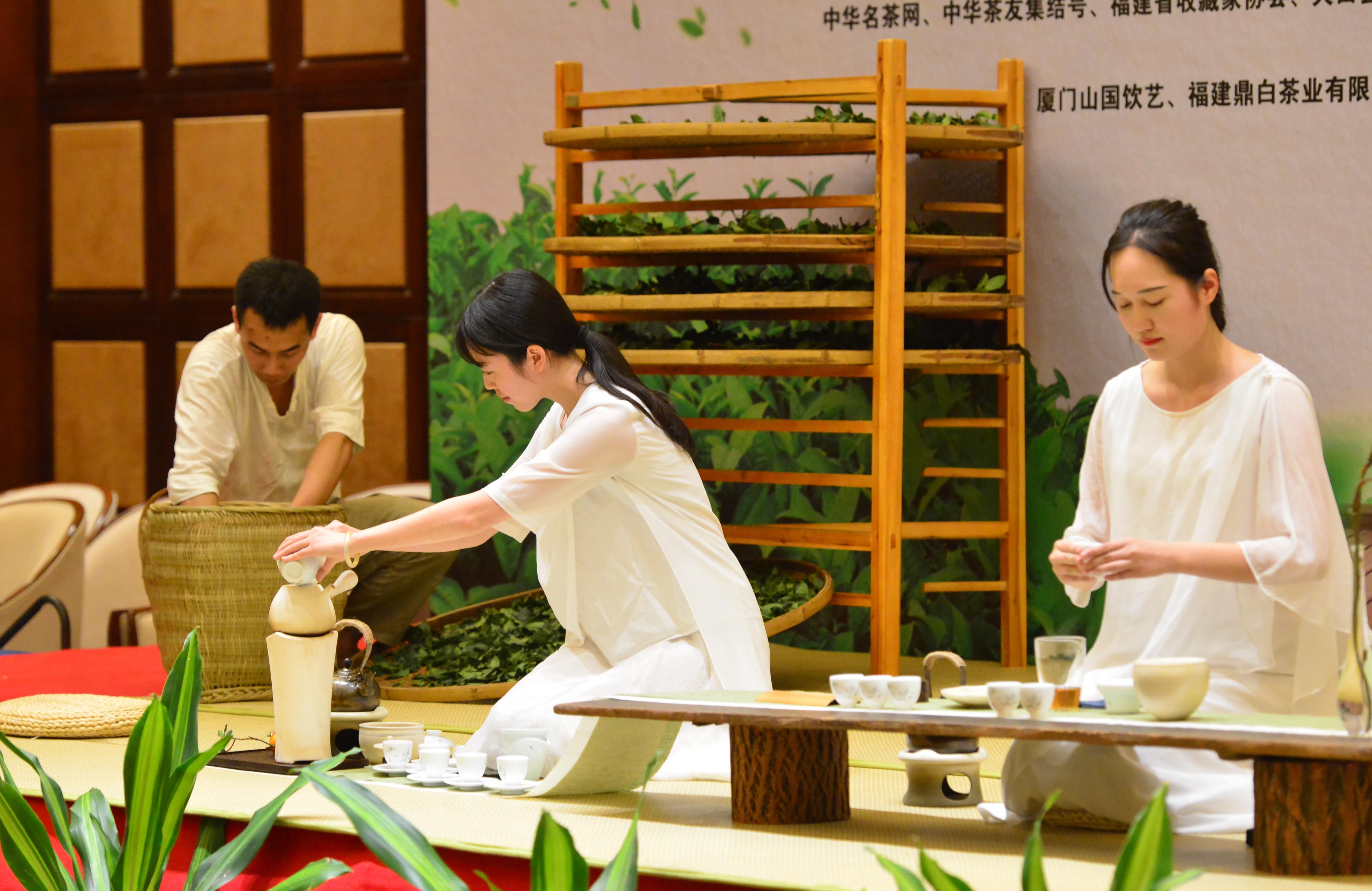 全国茶迷迎来利好消息！这里有顶级专家向您推荐高质量茶王……