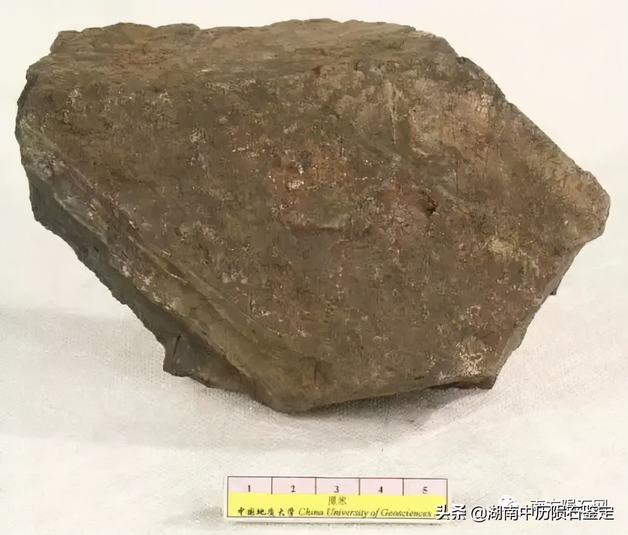 月球陨石与地球矿石的区别,月球陨石和矿石有什么区别