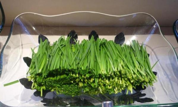 孩子误食水银立马吐出来了,小孩误食水银后催吐了