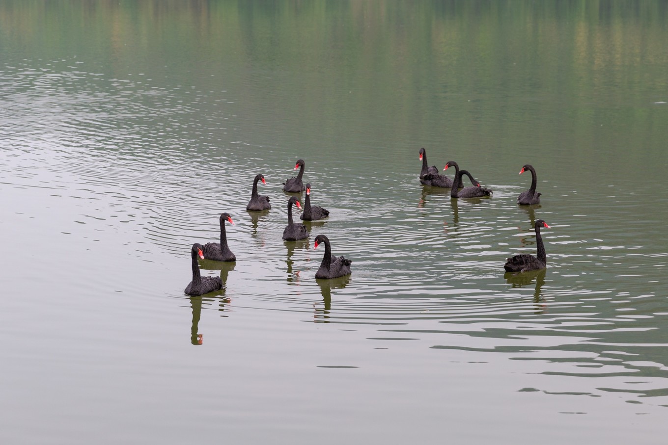 治愈圣地，共赴重庆合川铜梁，一见古今山水城