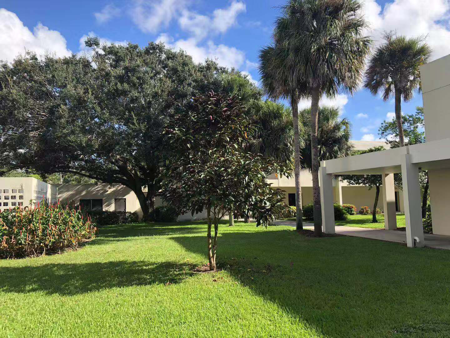 美国硕士留学费用高吗,如何申请美国留学音乐专业