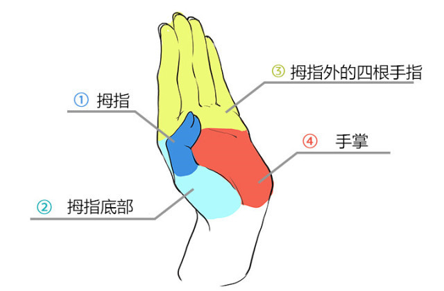 怎么画漫画人物教程简单又好看,漫画手的各种姿势画法