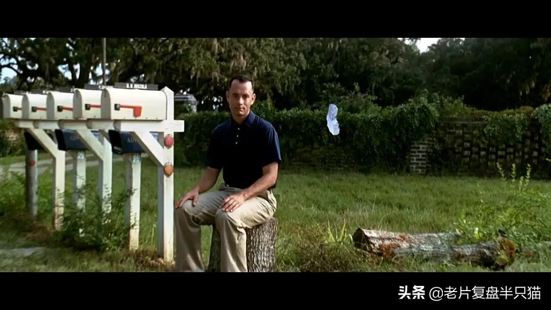 阿甘正传告诉了我们一个什么道理,阿甘正传人生观深度解析