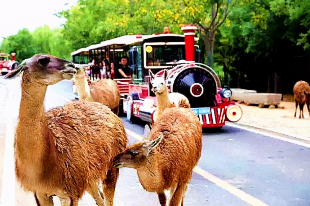 山东济南4a景点,济南市华山旅游景区