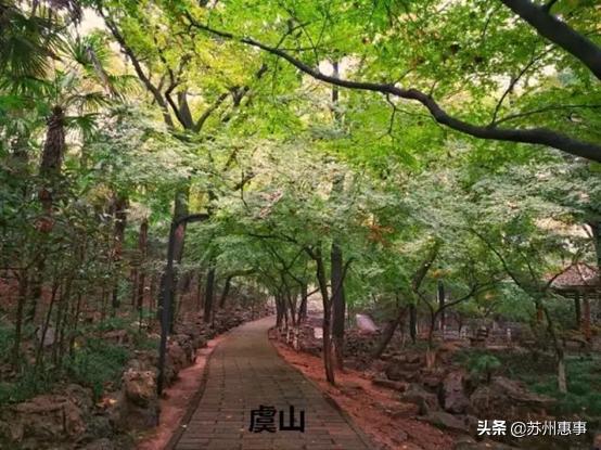 生活在江浙沪的有多幸福,生活在江苏有多幸福