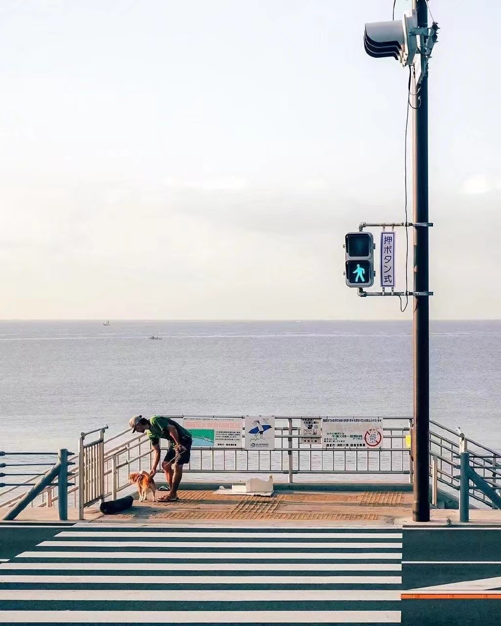 情人节日常浪漫情话,情人间浪漫情话问候句子