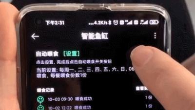 养鱼日记森森鱼缸,水族箱造景养鱼日记