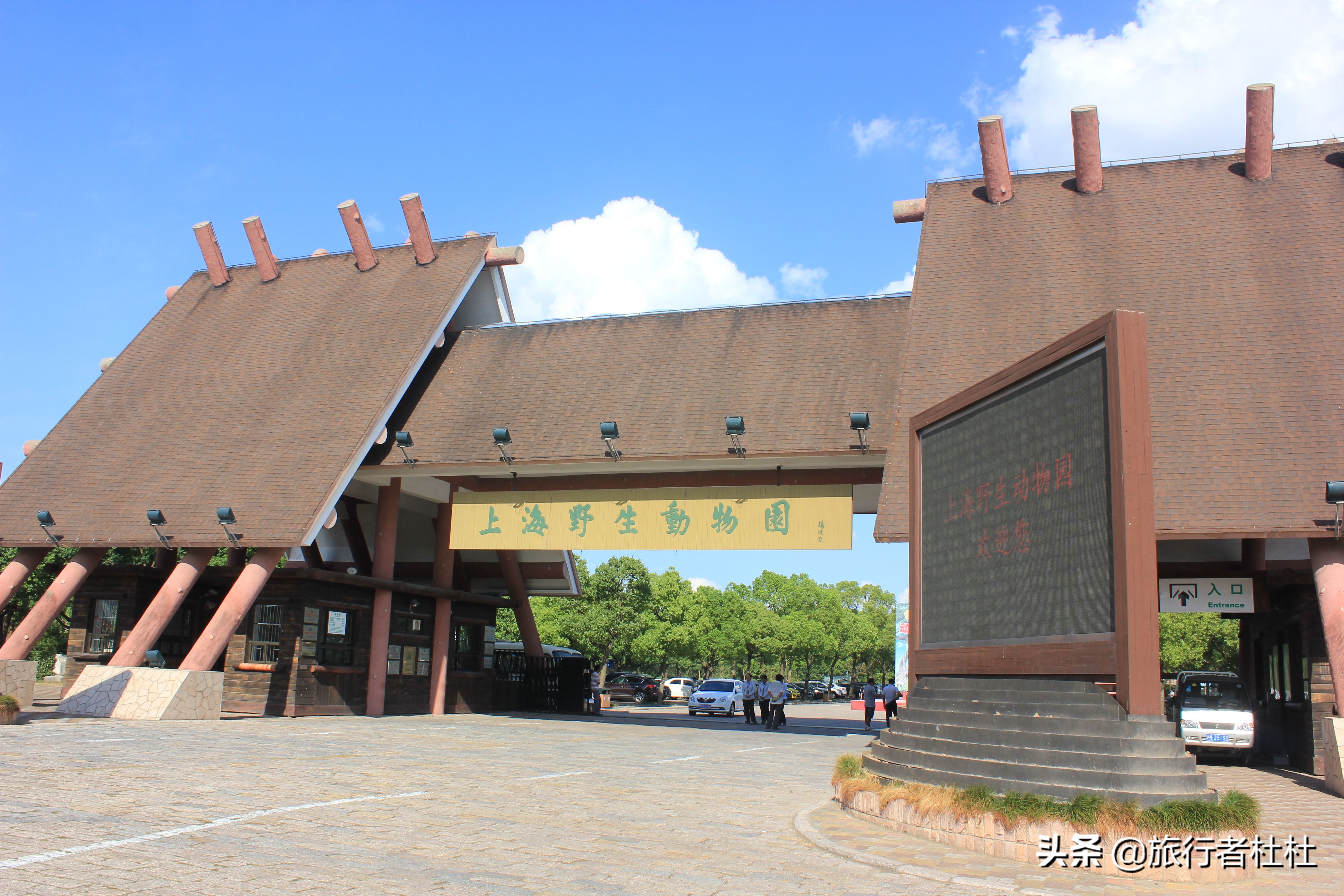 上海动物园5a景区,上海野生动物园和上海科技馆距离