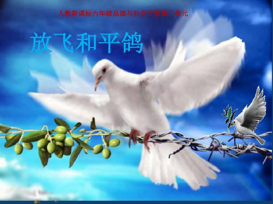 美国的发展历史,美国是怎么发家的