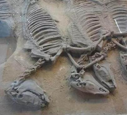 青海九层妖楼出土视频,西宁九层妖楼古墓