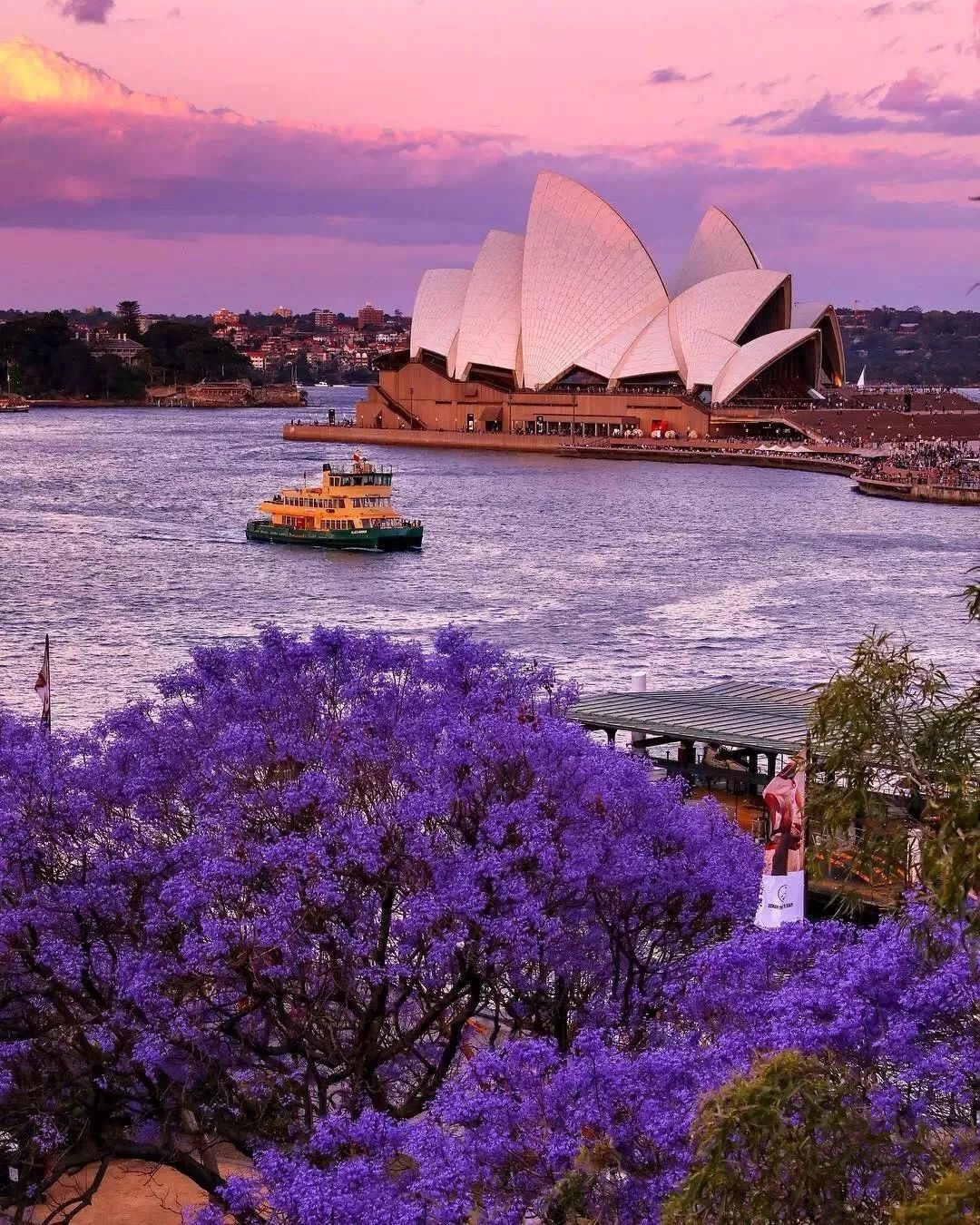 16岁澳籍华人天才少年病逝！46万字遗作震撼了世界