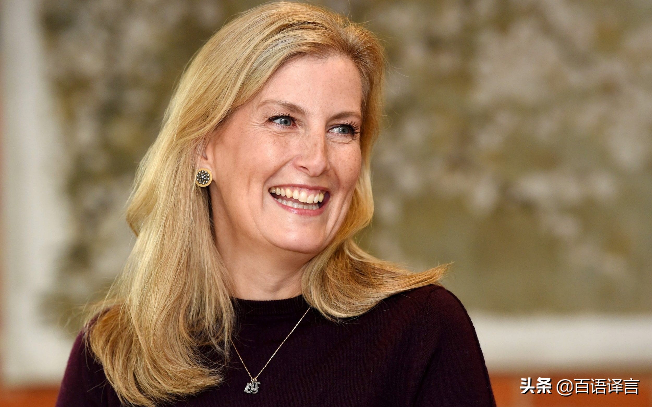 苏菲王妃和爱德华,苏菲和爱德华