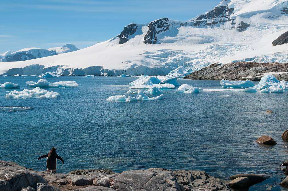 地球妈妈生病了故事,地球变暖冰川融化企鹅