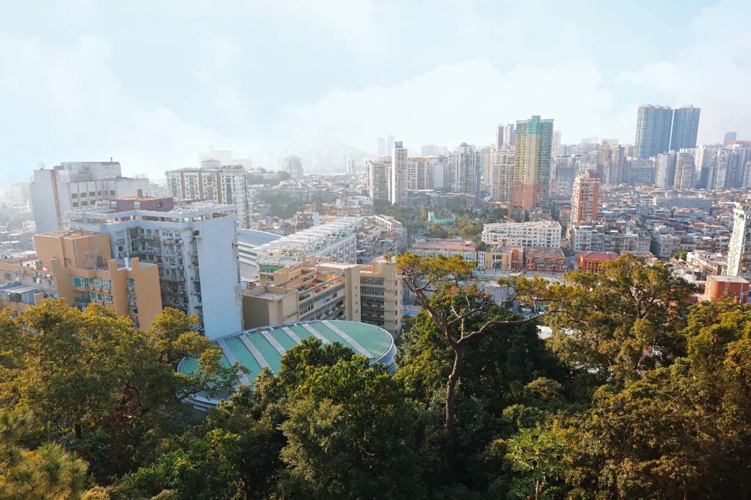 澳门最好的隐世老店,澳门有哪些好逛的店