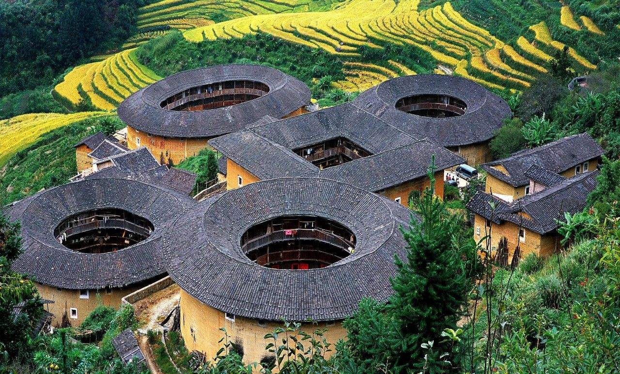 农村三农未来前景如何规划,农民种地未来5年规划